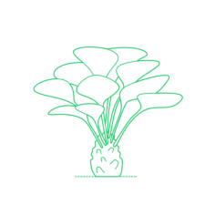 Plants Palms Needle Palm Svg Line Art, Free Vectors File